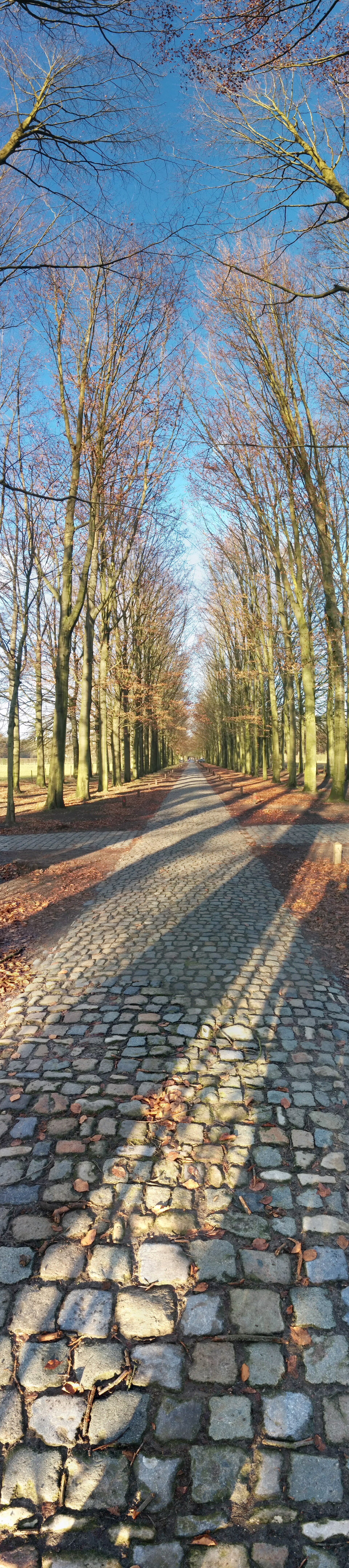 Het kasteel van 's-Gravenwezel, een van de buurdorpen van Sint-Job-in-'t-Goor